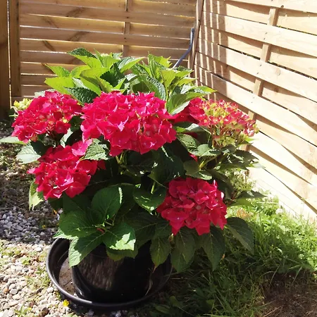 Hine Bakke Frühstückspension