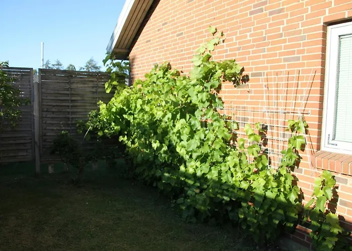 Bed & Breakfast Hine Bakke 3*