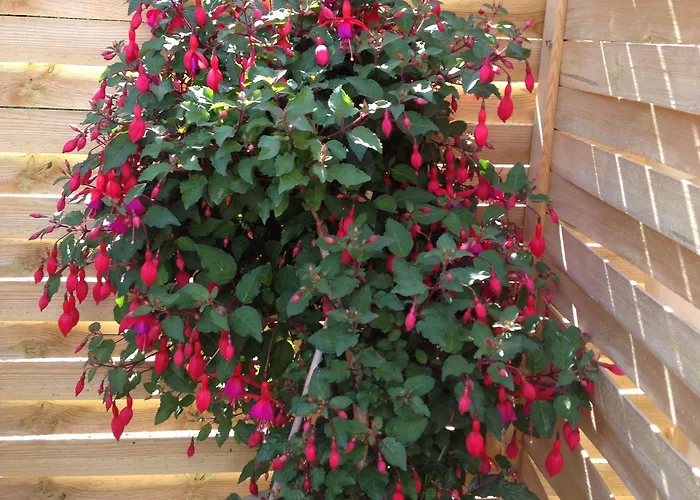 Hine Bakke Bed & Breakfast 3*