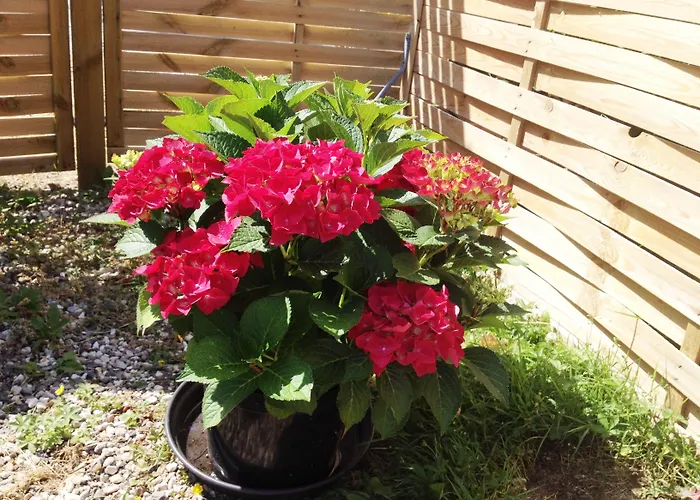 Hine Bakke Bed & Breakfast